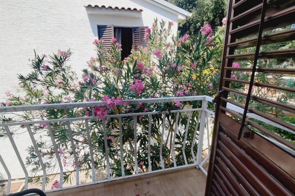 Casa Blanca, Biograd Na Moru Appartement Buitenkant foto